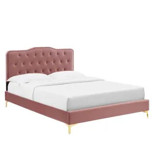 Amber Performance Velvet Queen Platform Bed By Modway - MOD-6775 - Dusty Rose