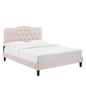 Amber Performance Velvet Twin Platform Bed By Modway - MOD-6780 - Pink