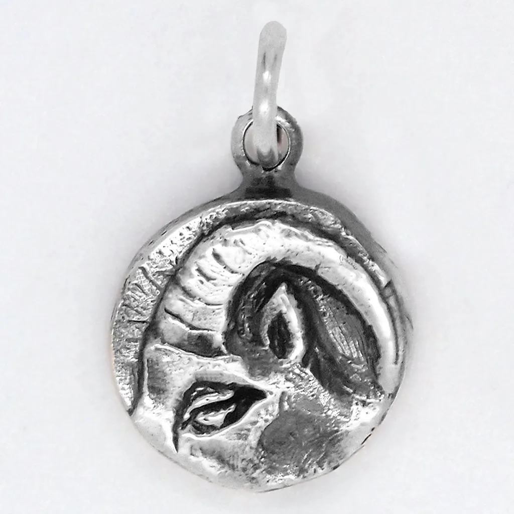 Zodiac Charm - Aries